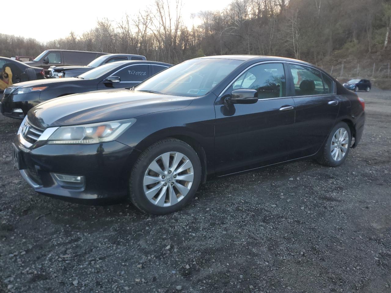 Lot #3316716426 2013 HONDA ACCORD EXL