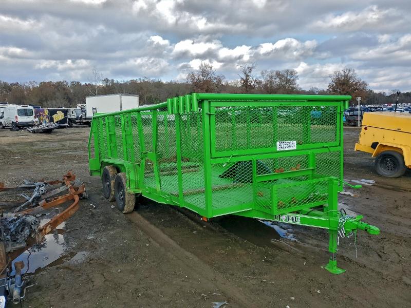 Global Auto Auctions: 2025 TIGER UNKNOWN