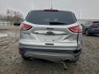 Lot #3298030134 2014 FORD ESCAPE TIT