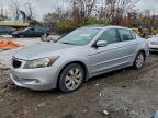 Lot #3296352133 2008 HONDA ACCORD EXL