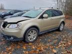 Lot #3303898687 2009 SUBARU TRIBECA LI