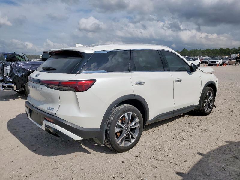 2025 INFINITI QX60 LUXE #3294080943