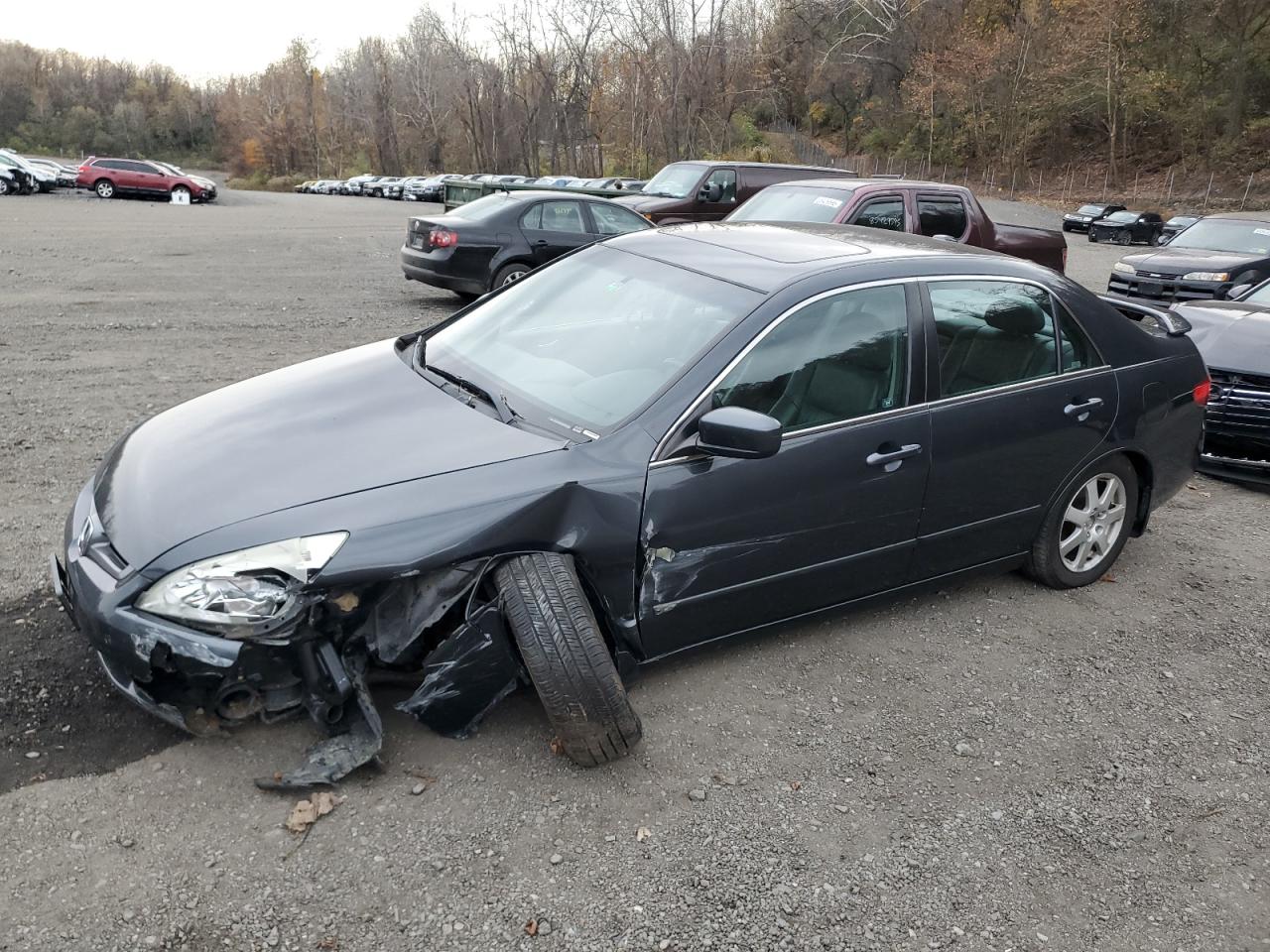 Lot #3312424640 2005 HONDA ACCORD EX