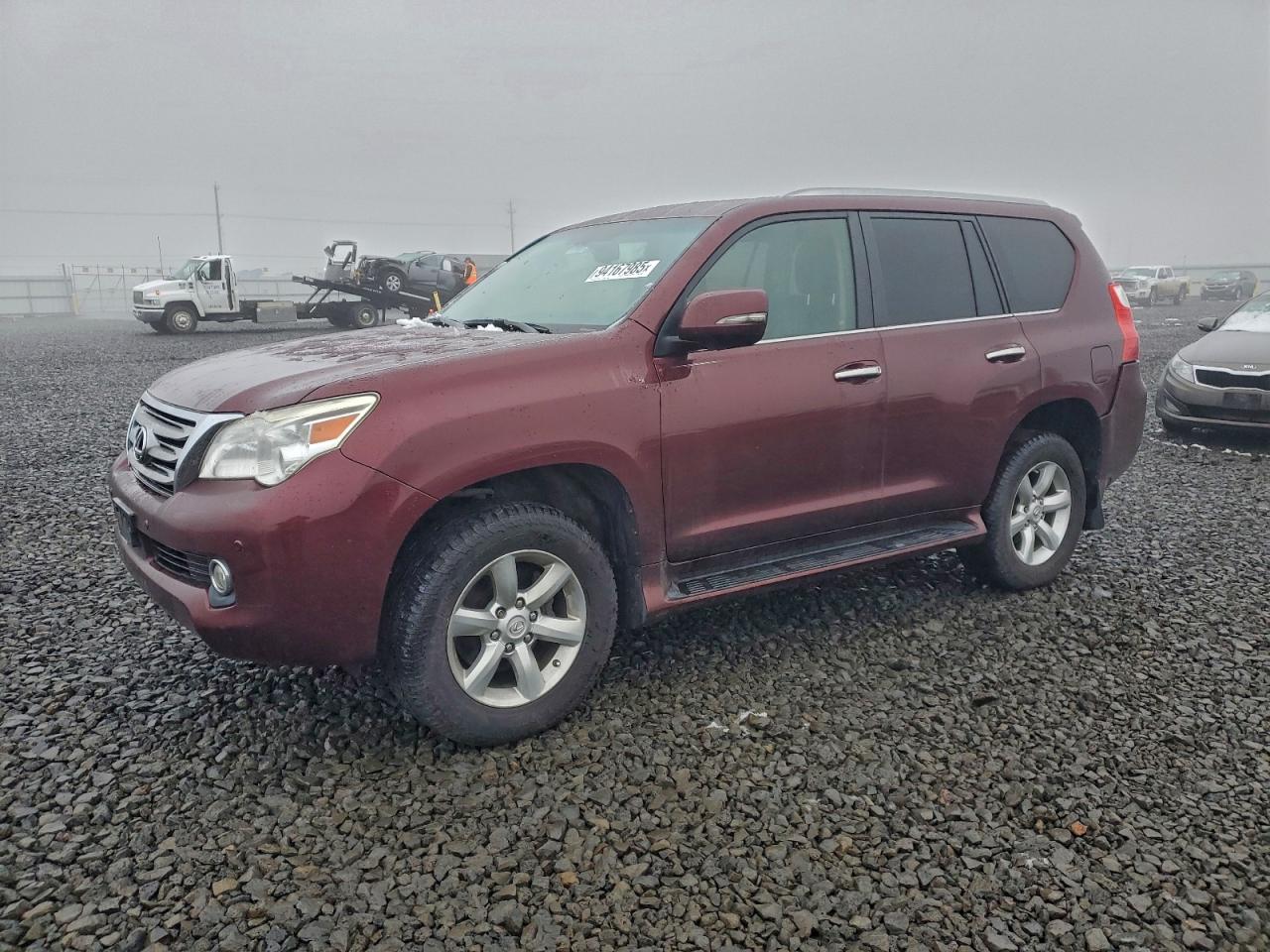 LEXUS GX 460