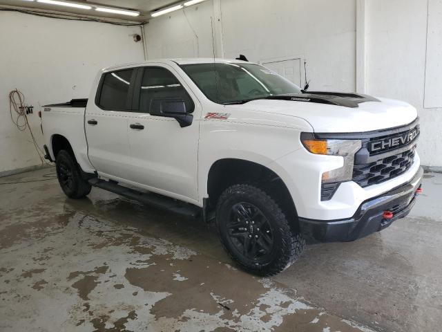 2025 CHEVROLET SILVERADO #3293512435