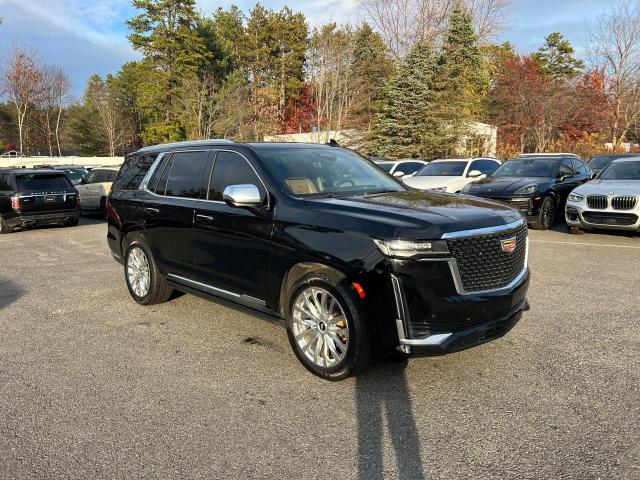 2021 CADILLAC ESCALADE P #3287623024