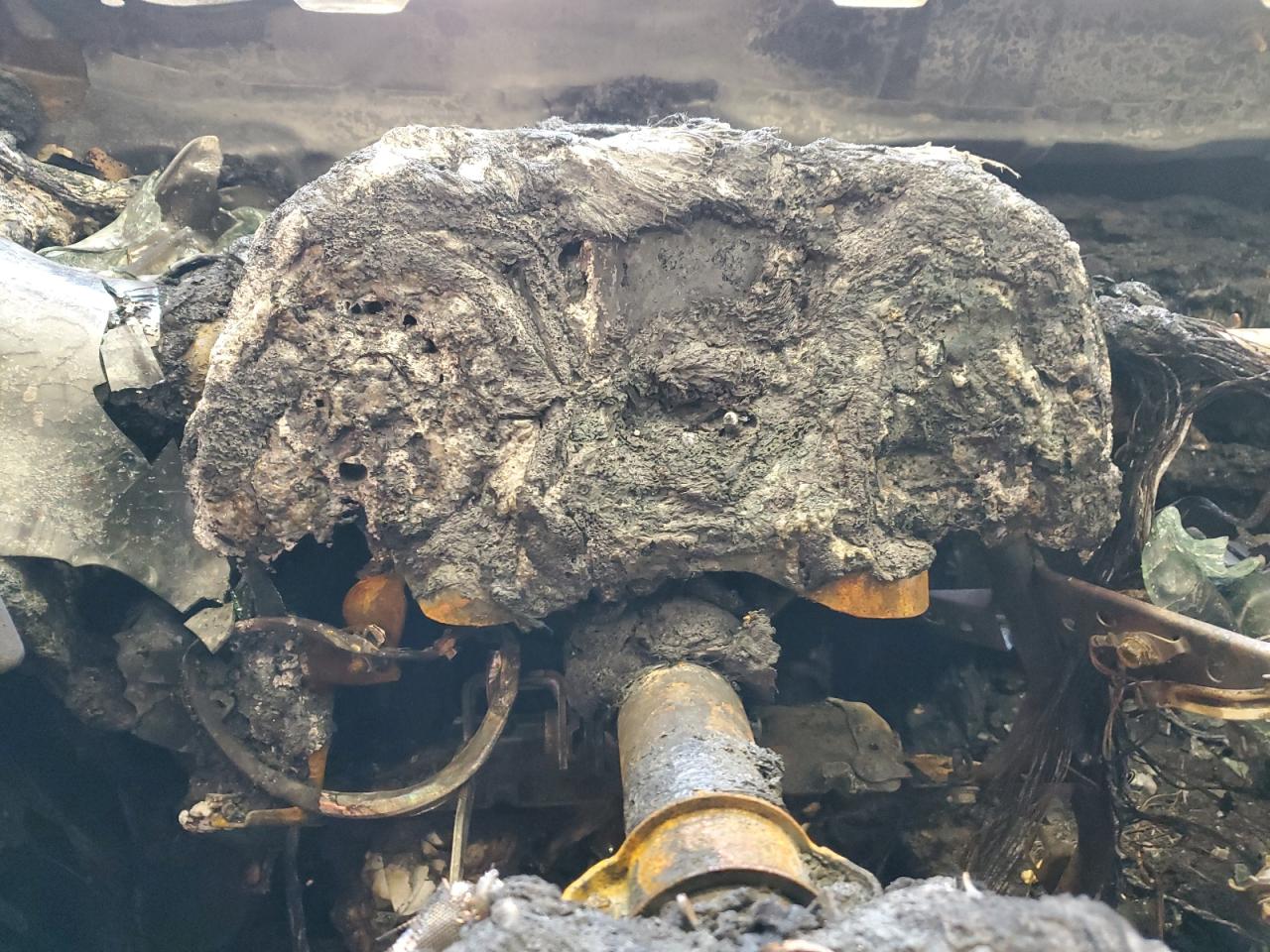 Lot #3302908131 2019 TOYOTA CAMRY L