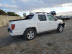 Lot #3305329326 2009 HONDA RIDGELINE
