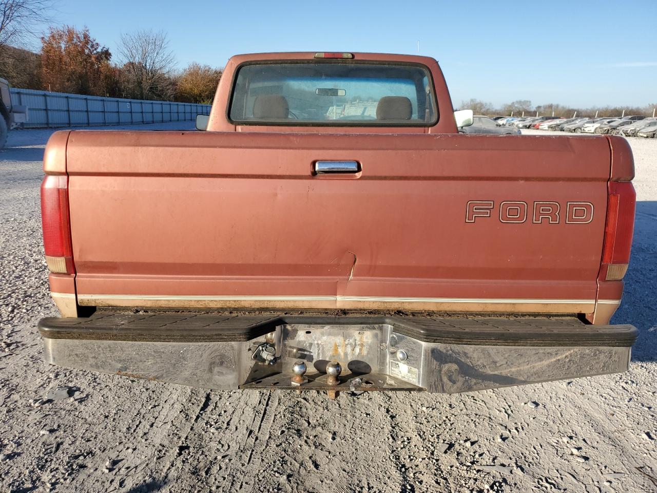 Lot #3304596434 1995 FORD F150