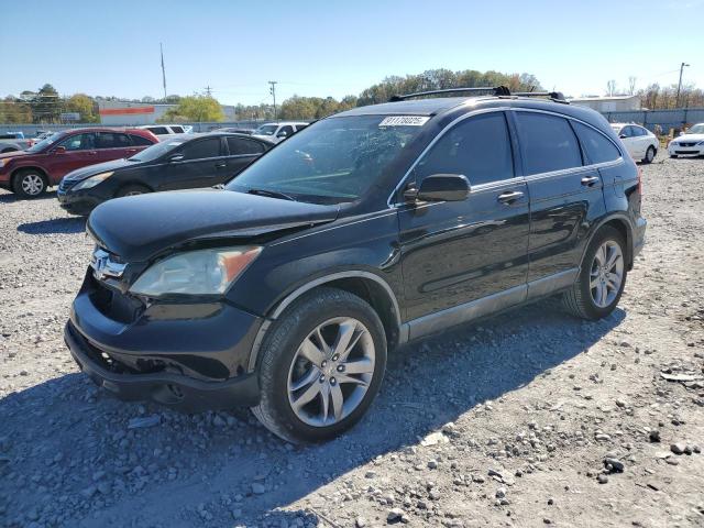 Global Auto Auctions: 2009 HONDA CR-V EXL