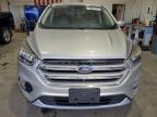Lot #3297939775 2019 FORD ESCAPE SE