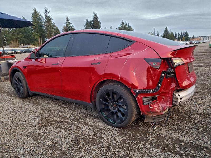 2023 TESLA MODEL Y #3302825942