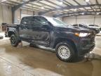 Lot #3309396976 2024 CHEVROLET COLORADO