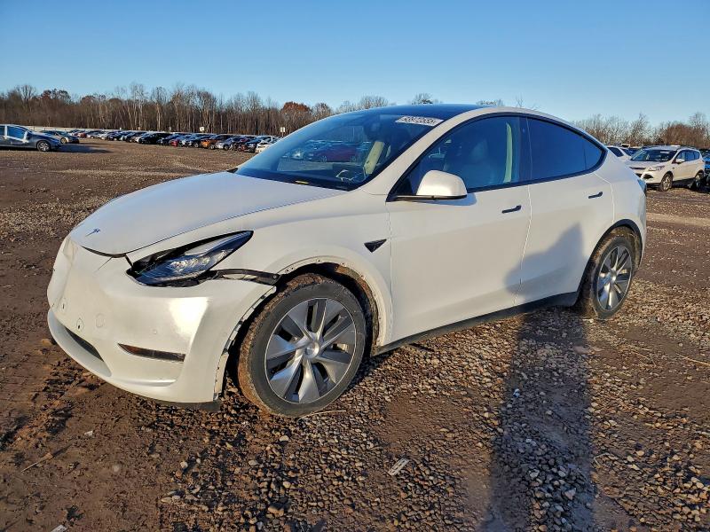 2022 TESLA MODEL Y #3302793906