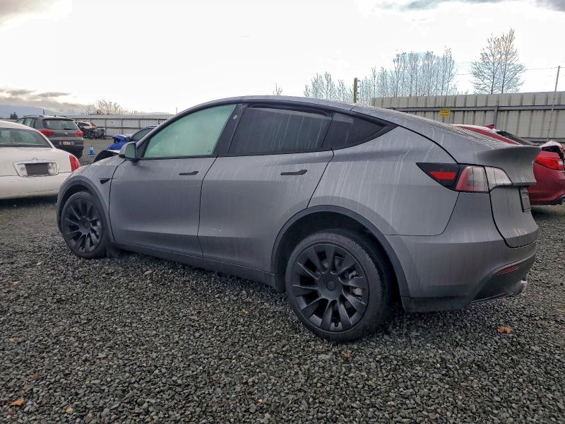 2024 TESLA MODEL Y #3302663066