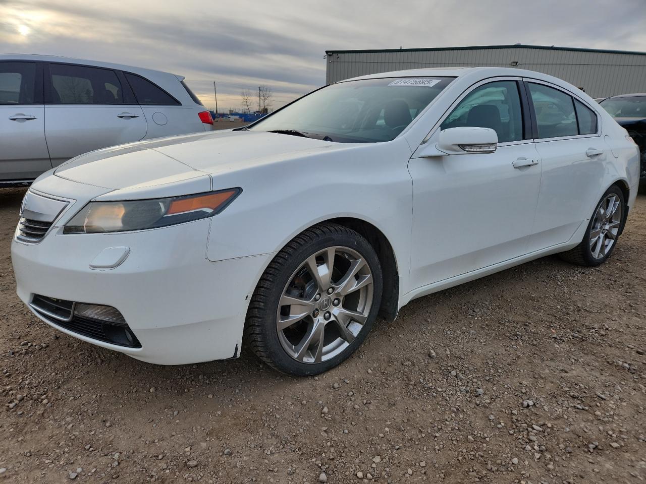 ACURA TL