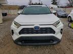 Lot #3308281176 2019 TOYOTA RAV4 XLE