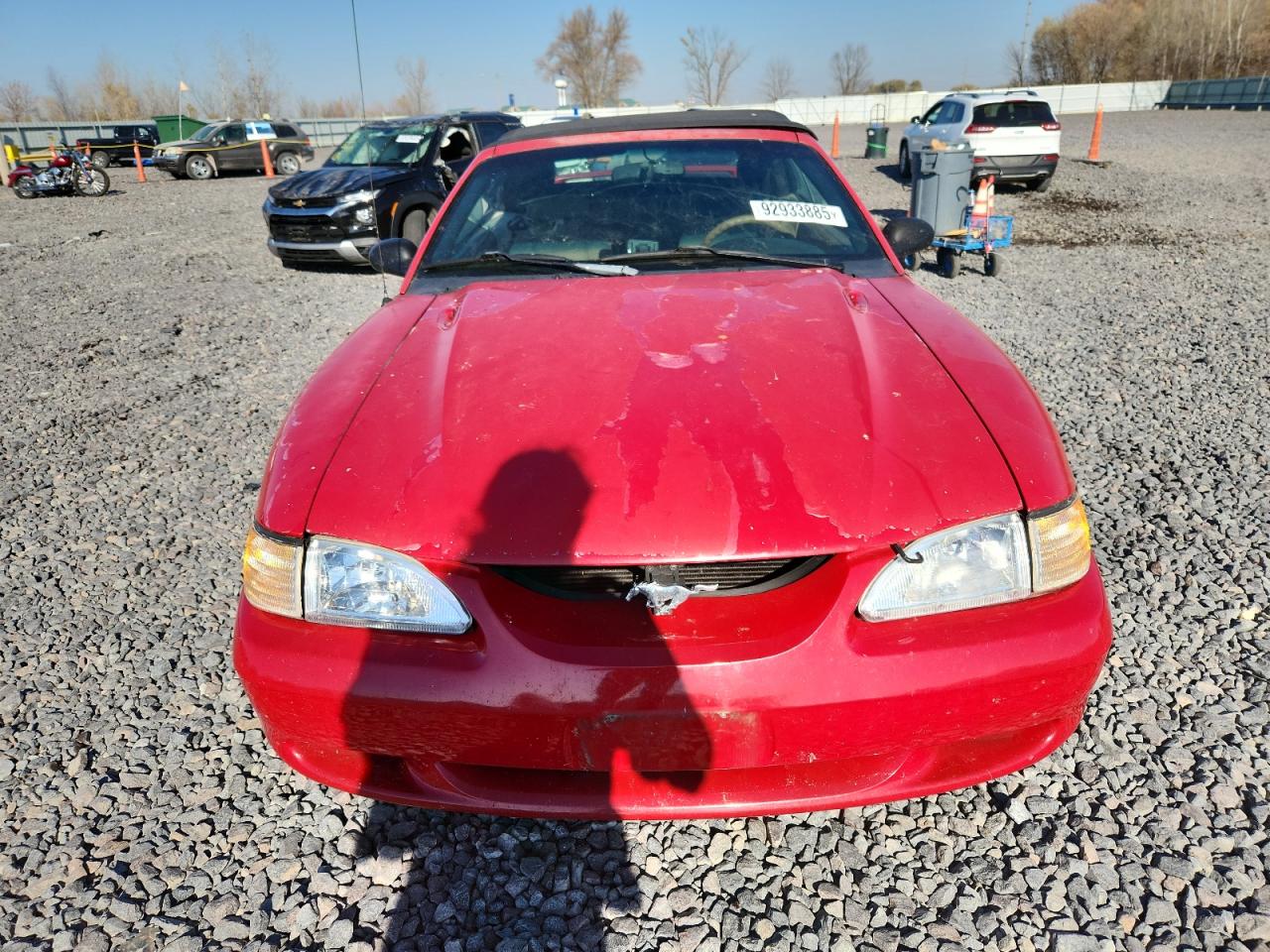 Lot #3296247409 1998 FORD MUSTANG