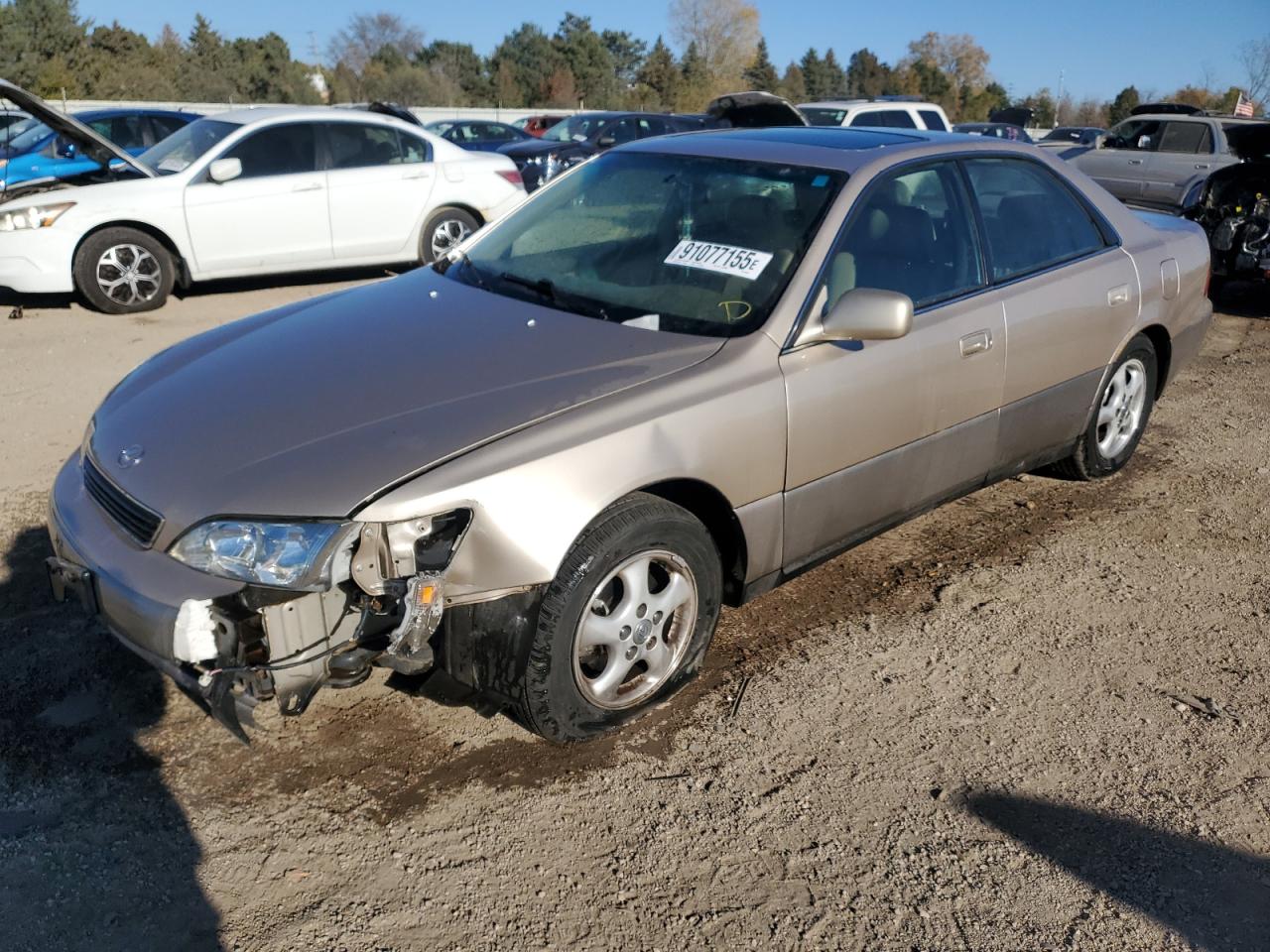 Lot #3297219419 1998 LEXUS ES 300