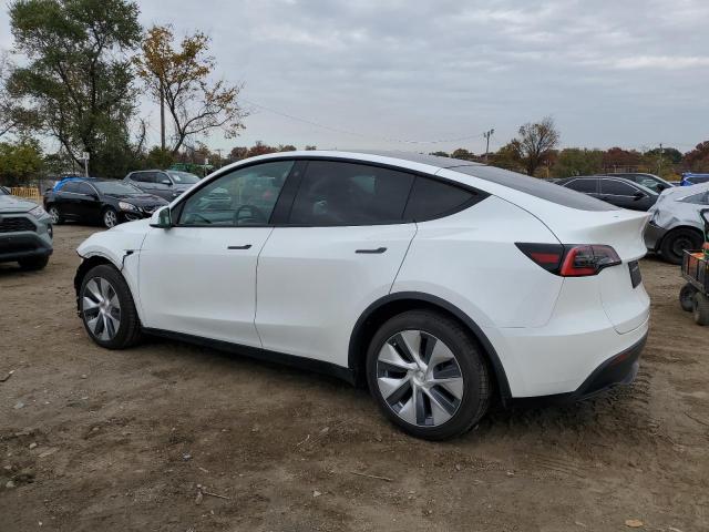 2021 TESLA MODEL Y - 5YJYGDEEXMF100785