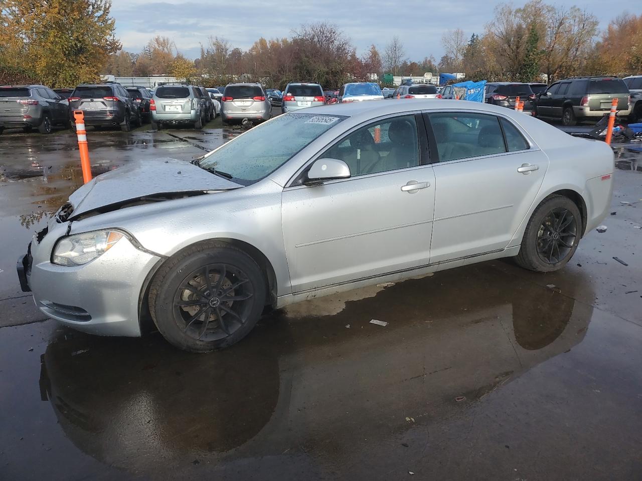 Lot #3290443782 2011 CHEVROLET MALIBU 1LT