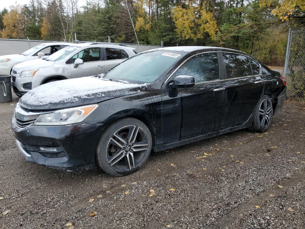 HONDA ACCORD SPORT