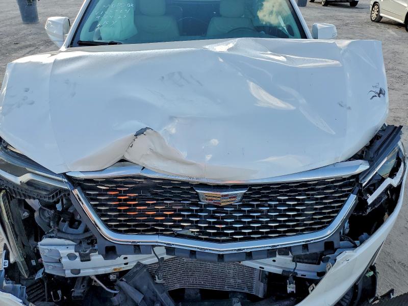 2021 CADILLAC XT6 PREMIU #3303658942