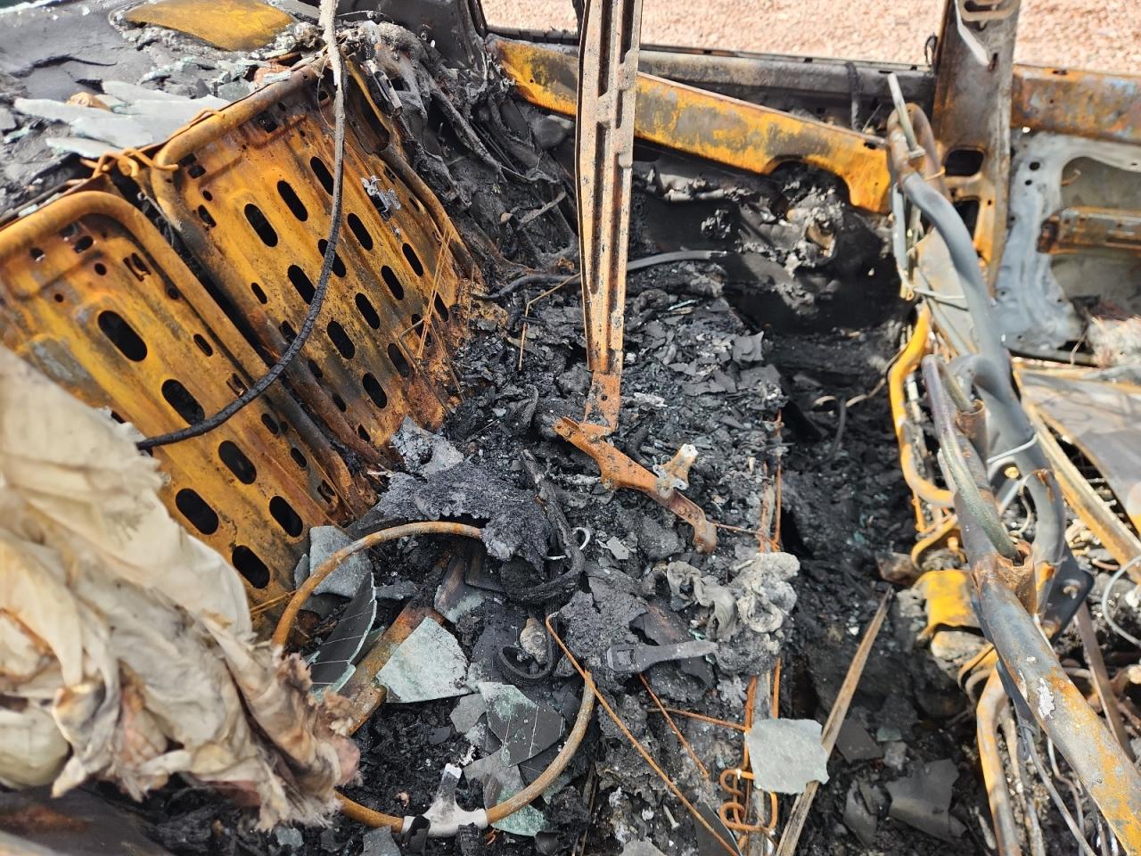 Lot #3303072768 1995 TOYOTA COROLLA LE