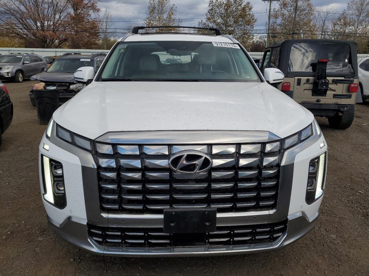 HYUNDAI PALISADE CALLIGRAPHY