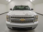 Lot #3305424447 2014 CHEVROLET SILVERADO