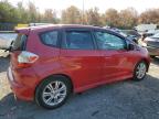 Lot #3295901393 2009 HONDA FIT