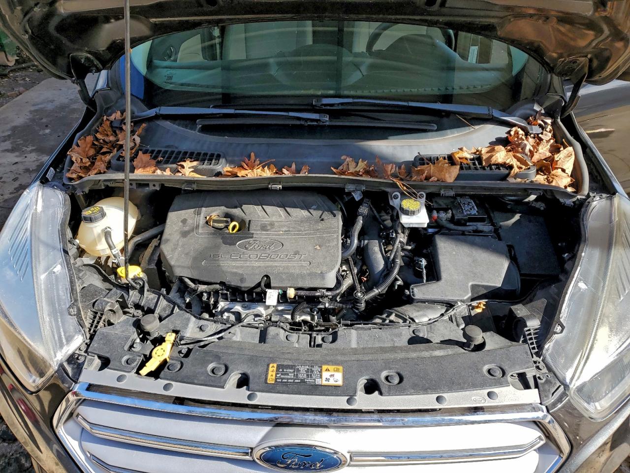 Lot #3301674626 2018 FORD ESCAPE SE