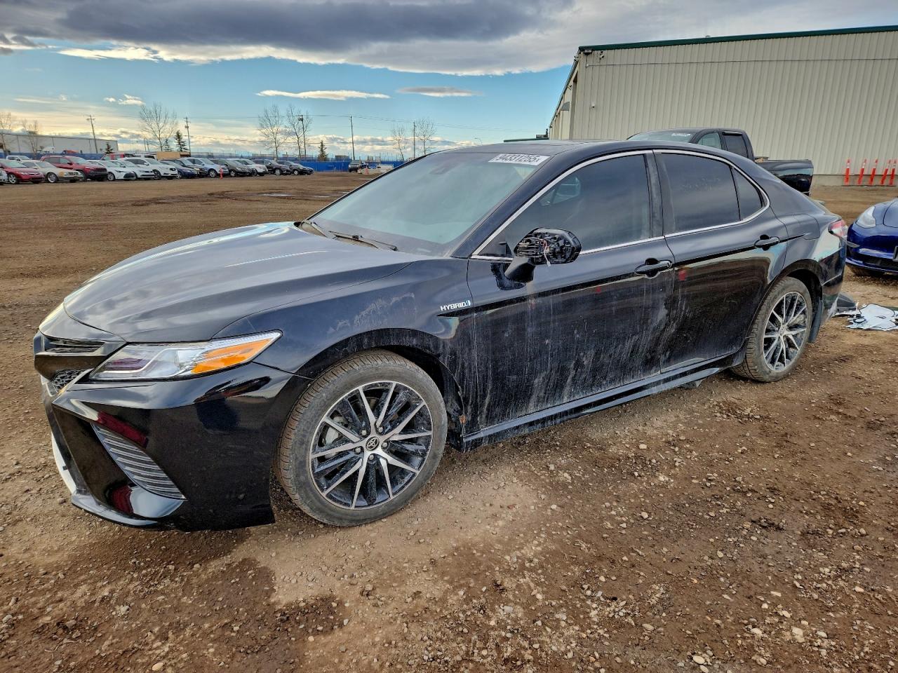 TOYOTA CAMRY HYBRID