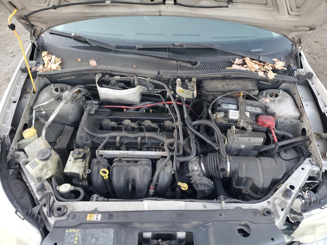 Lot #3302911046 2008 FORD FOCUS