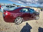 Lot #3310463142 2009 ACURA TSX