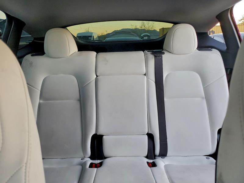 2024 TESLA MODEL Y #3296964841