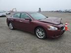 Lot #3293567957 2010 NISSAN MAXIMA S