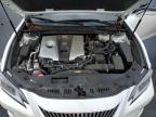 Lot #3303924736 2019 LEXUS ES 300H