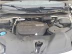 Lot #3303970703 2019 HONDA PILOT EXL