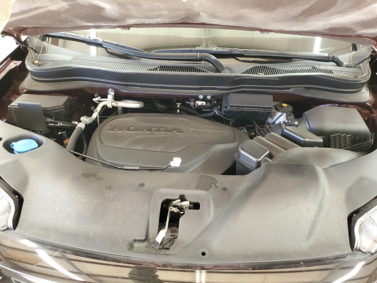 HONDA PASSPORT ELITE