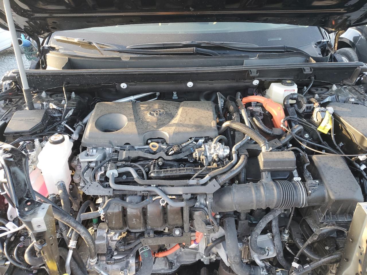 TOYOTA RAV4 XLE PREMIUM