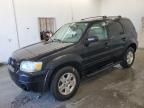 Lot #3305368308 2007 FORD ESCAPE LIM