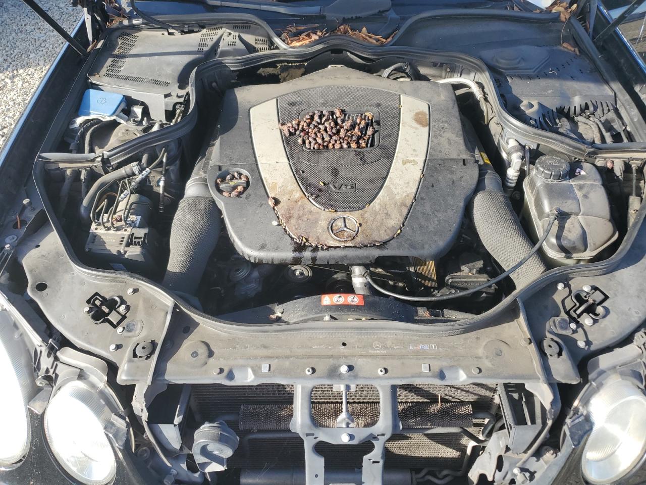 Lot #3301875468 2008 MERCEDES-BENZ E 350