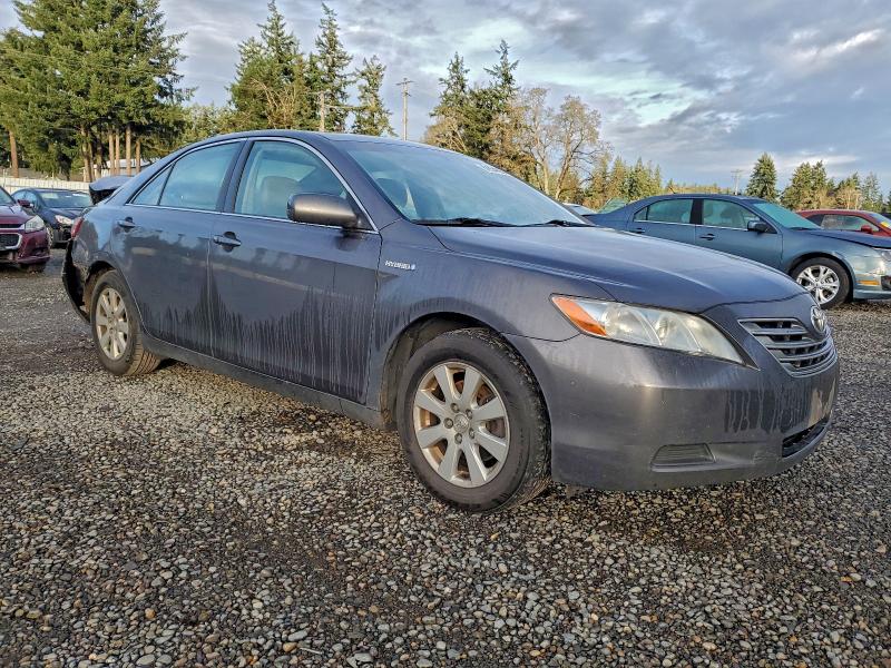 2009 TOYOTA CAMRY HYBR #3311816192