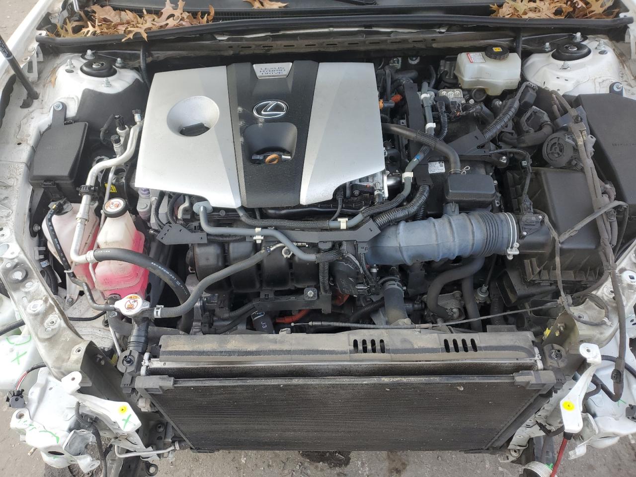 LEXUS ES 300H LUXURY