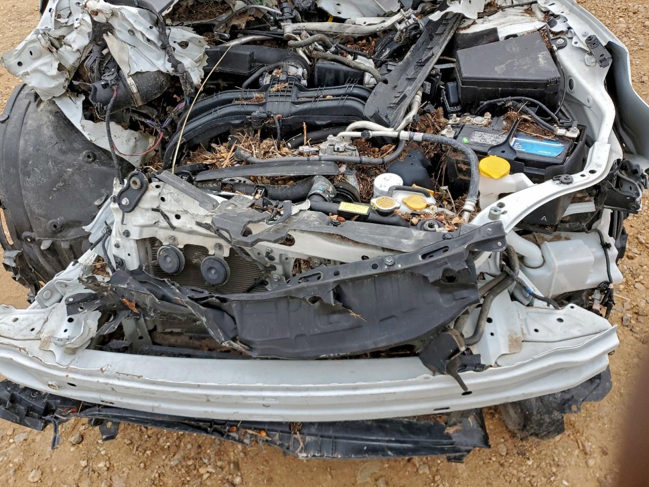 SUBARU OUTBACK LIMITED