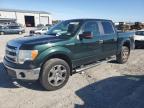 Lot #3296353124 2014 FORD F150 SUPER