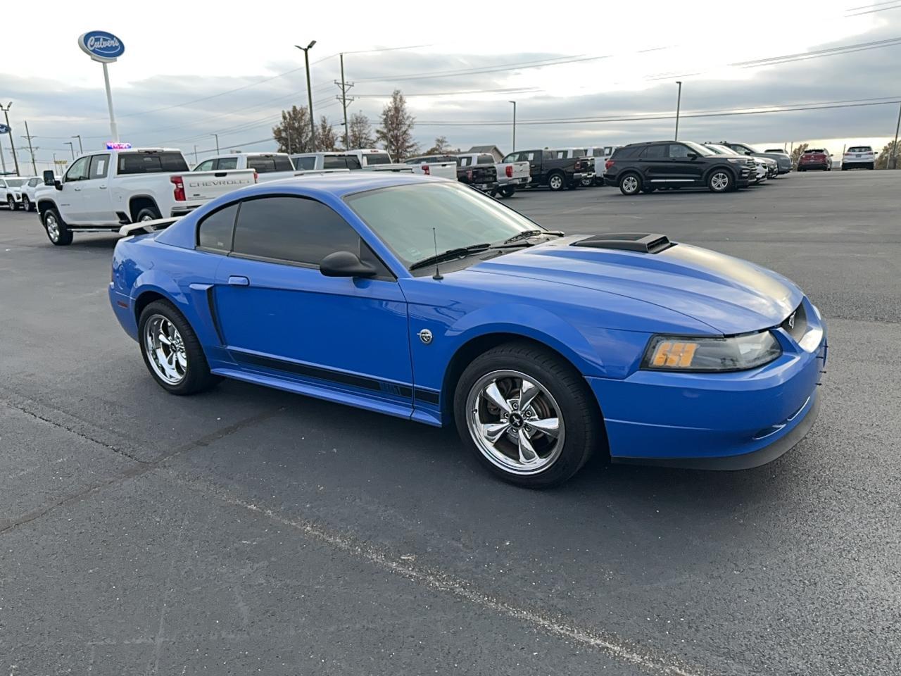 Lot #3283912349 2004 FORD MUSTANG MA