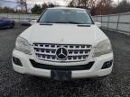 Lot #3293338437 2009 MERCEDES-BENZ ML 350