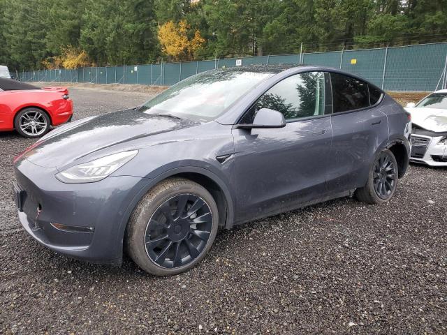 2022 TESLA MODEL Y #3304865539